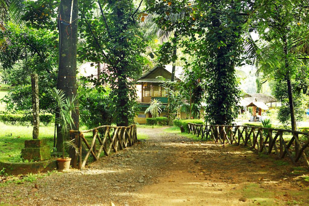 Soma Birds Lagoon Kotamangalam Exterior photo